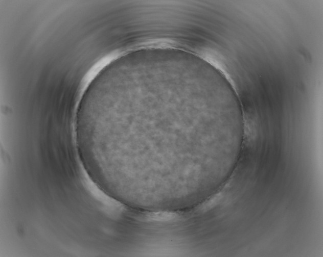 X0000090621090200708071219