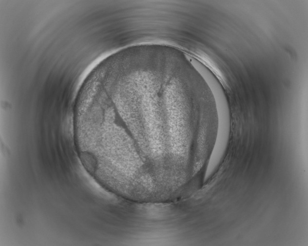 X0000090621092200708071219