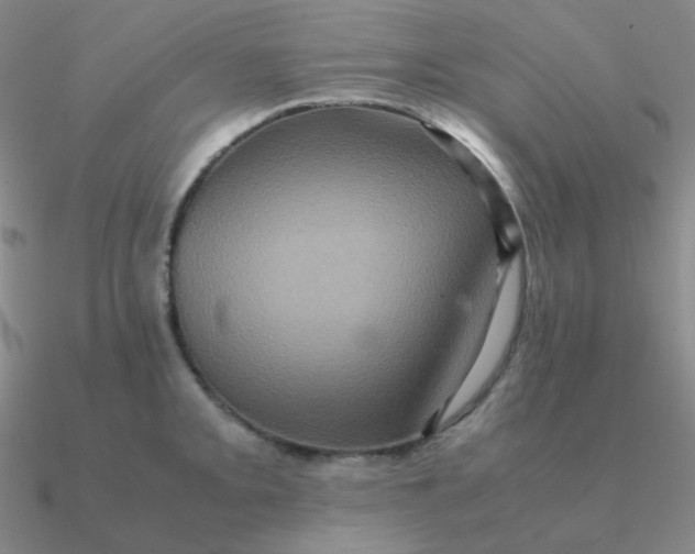 X0000090621093200708071219