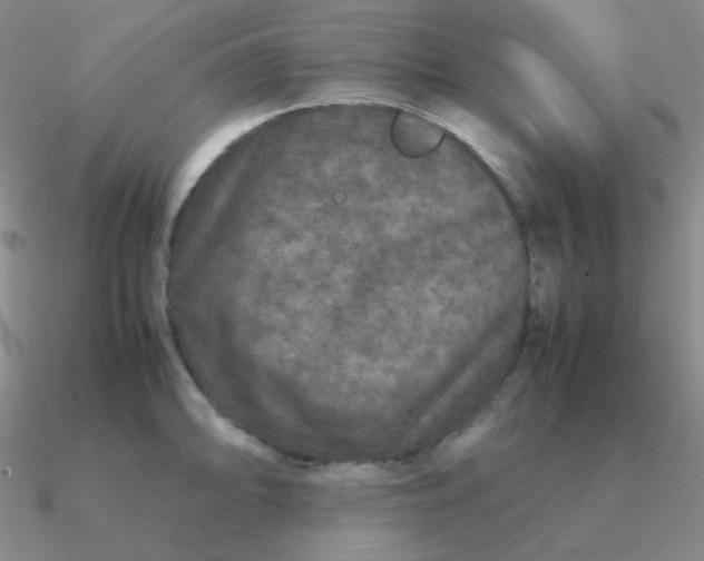 X0000090621094200708071219