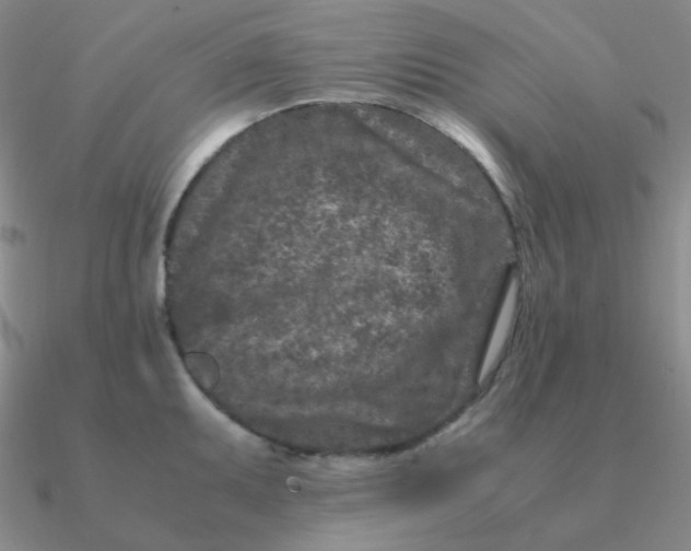 X0000090621095200708071219