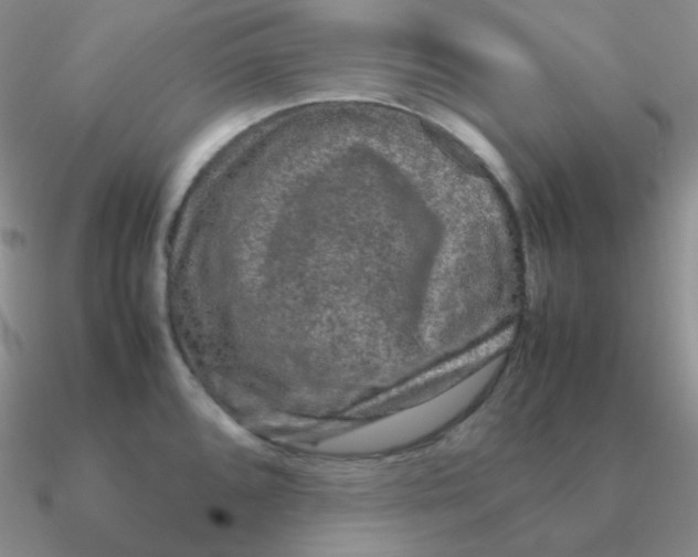 X0000090621096200708071219