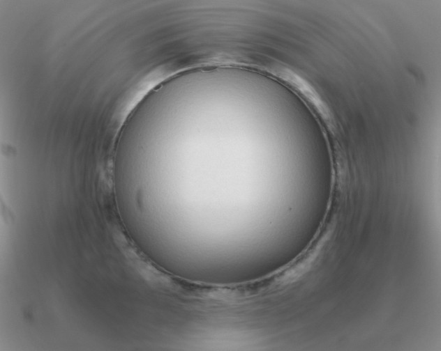 X0000090621097200708071219