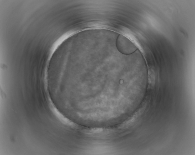 X0000090621098200708071219