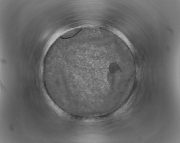 X0000090621099200708071219