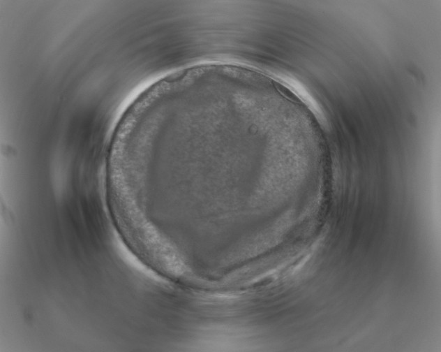 X0000090621100200708071219