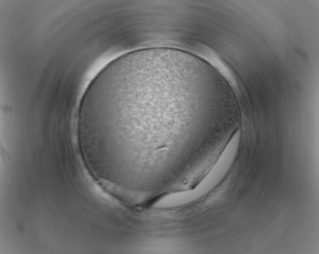 X0000090621102200708071219