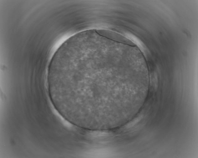 X0000090621103200708071219