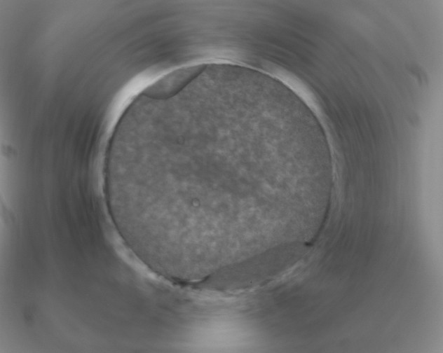 X0000090621104200708071219