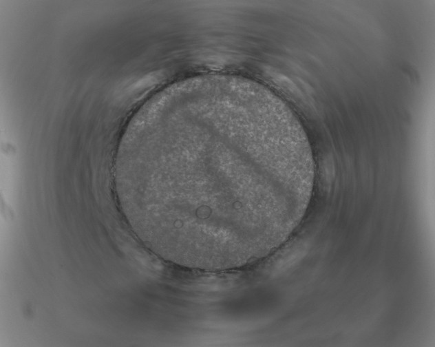 X0000090621105200708071218