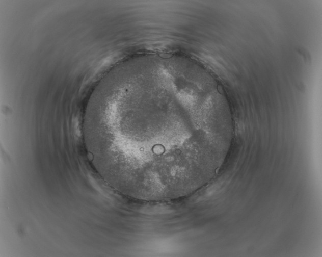 X0000090621106200708071218