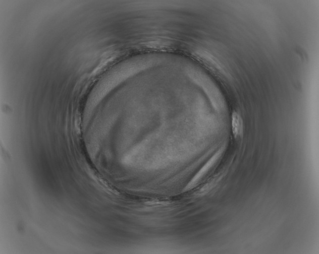 X0000090621107200708071219