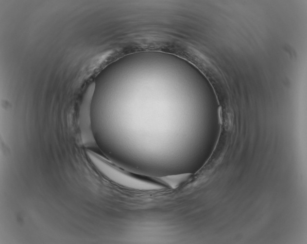 X0000090621108200708071219