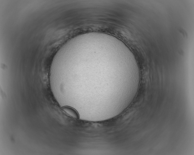 X0000090621109200708071219