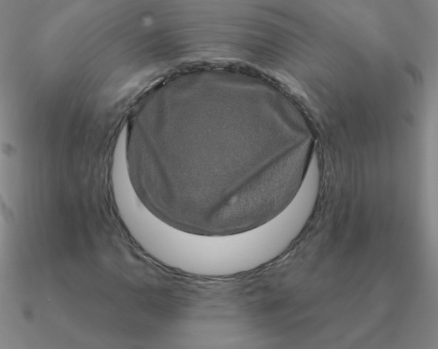 X0000090621110200708071219