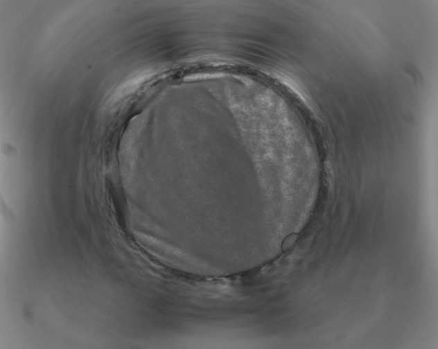 X0000090621111200708071219