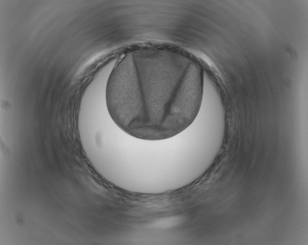 X0000090621112200708071219