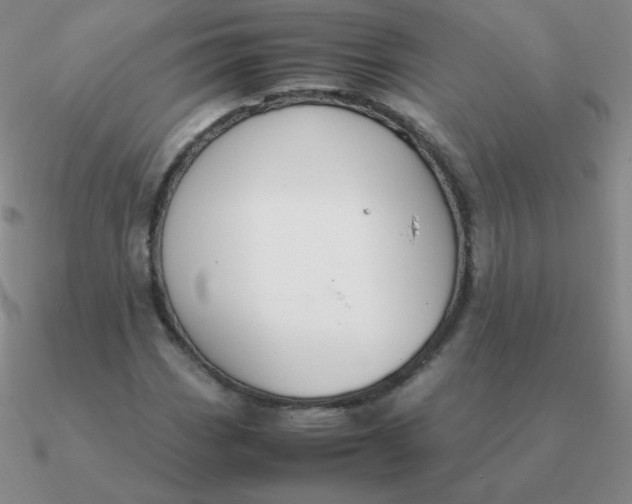 X0000090621113200708071219