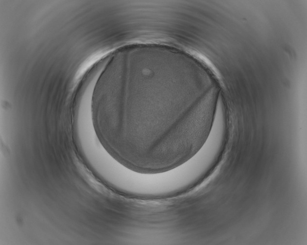 X0000090621114200708071219