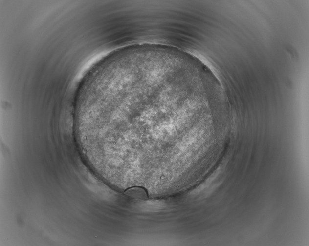 X0000090621115200708071219