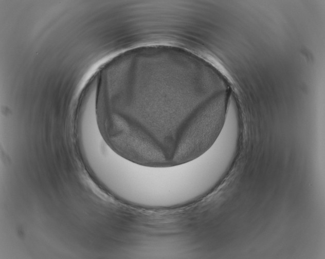 X0000090621116200708071219