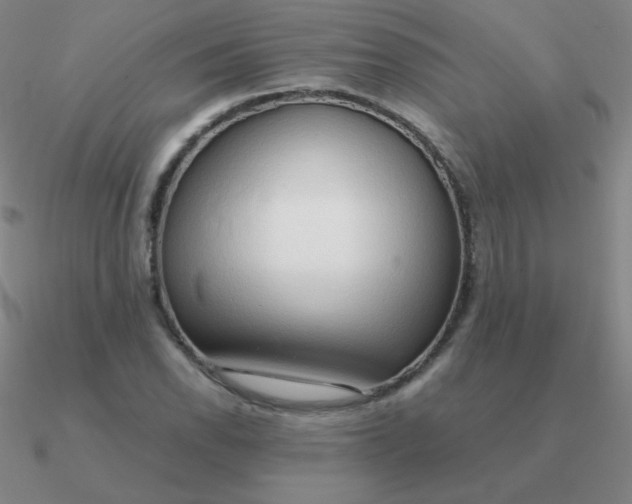 X0000090621118200708071219