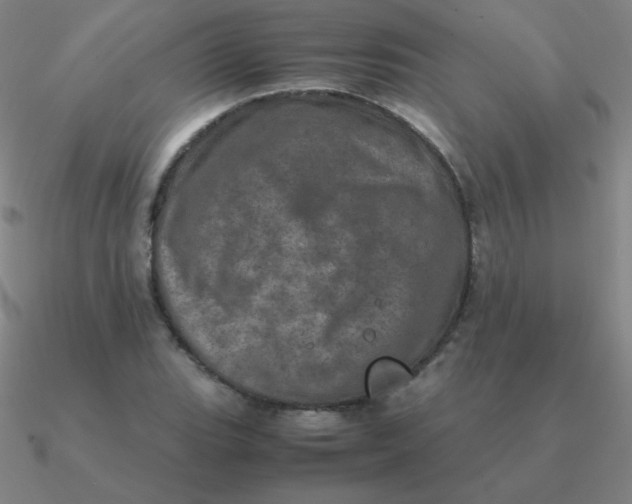 X0000090621119200708071219