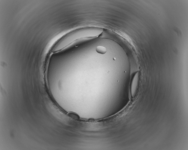 X0000090621120200708071219