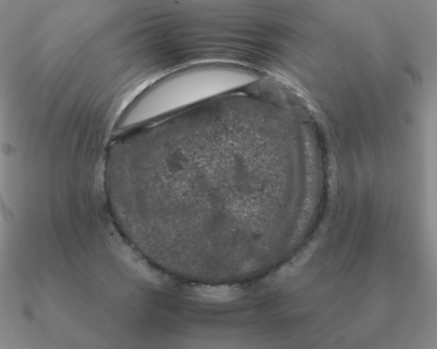 X0000090621121200708071219