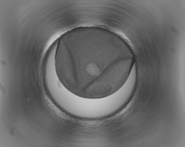 X0000090621122200708071219