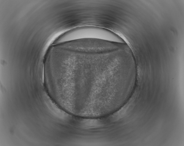 X0000090621123200708071219