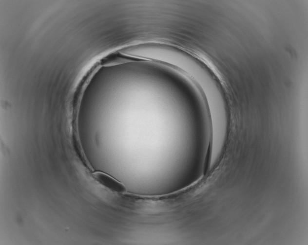 X0000090621124200708071219