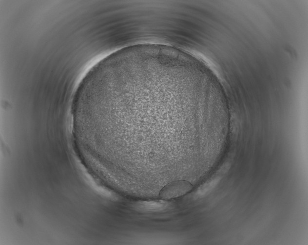 X0000090621125200708071219