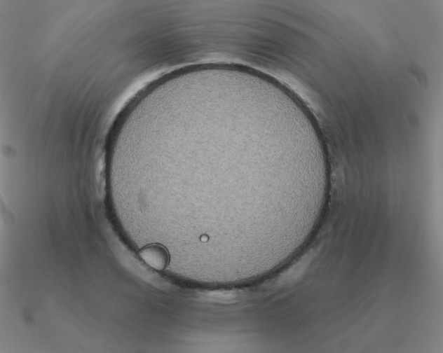 X0000090621126200708071219