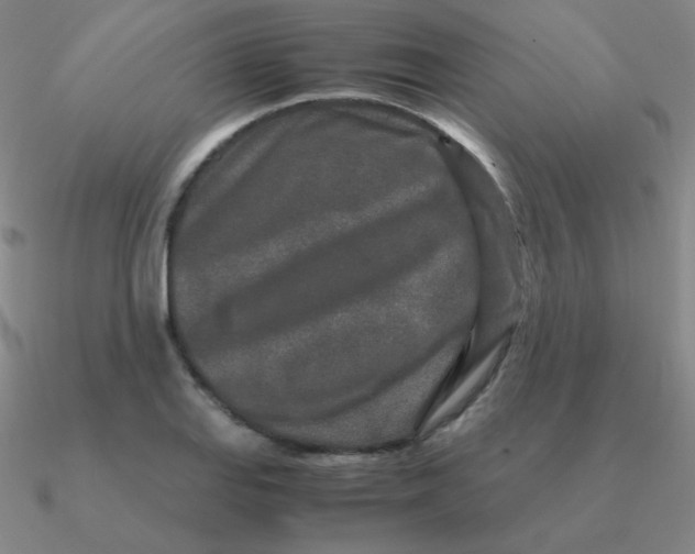 X0000090621127200708071219