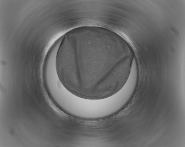 X0000090621128200708071219