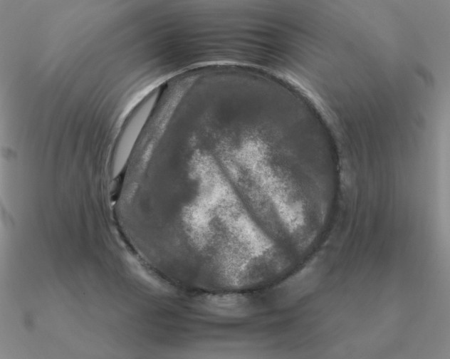 X0000090621129200708071219