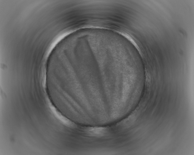 X0000090621131200708071219