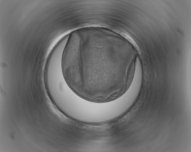 X0000090621132200708071219