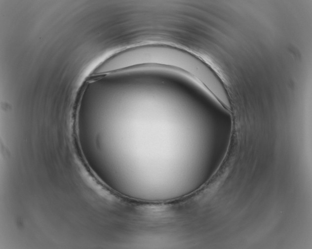 X0000090621134200708071219