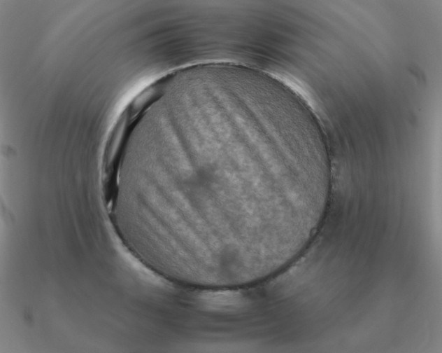 X0000090621135200708071219