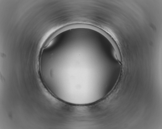 X0000090621136200708071219