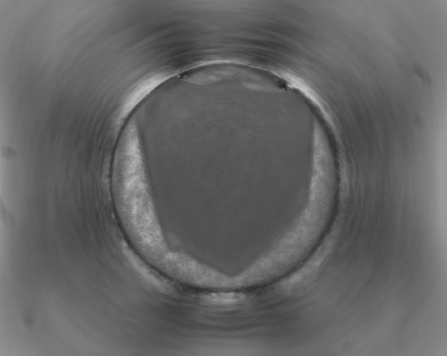 X0000090621137200708071219