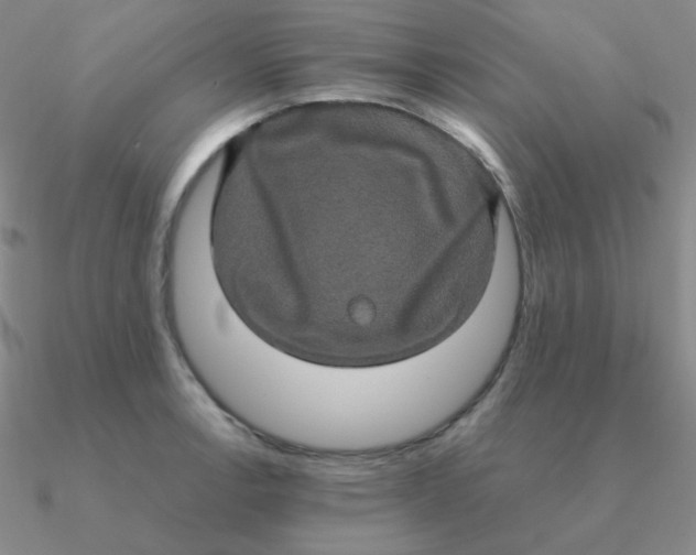 X0000090621138200708071219