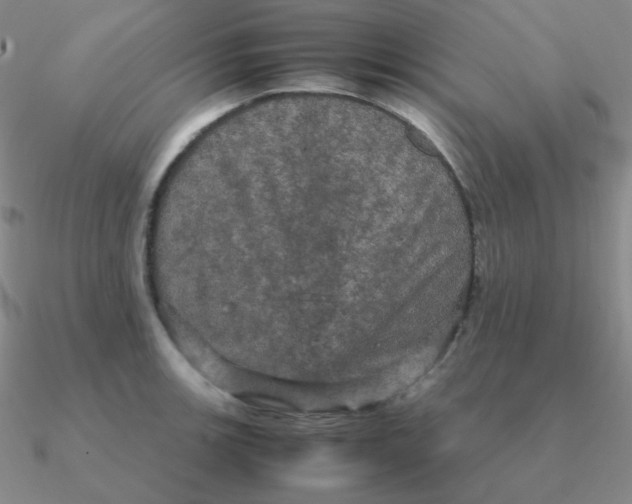 X0000090621139200708071219