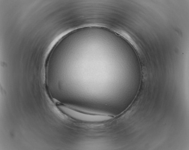 X0000090621140200708071219