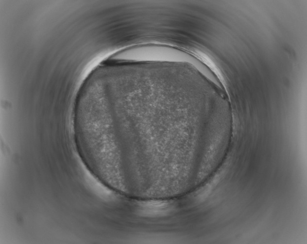 X0000090621141200708071219