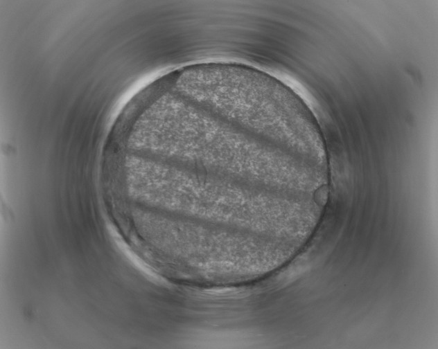 X0000090621142200708071219