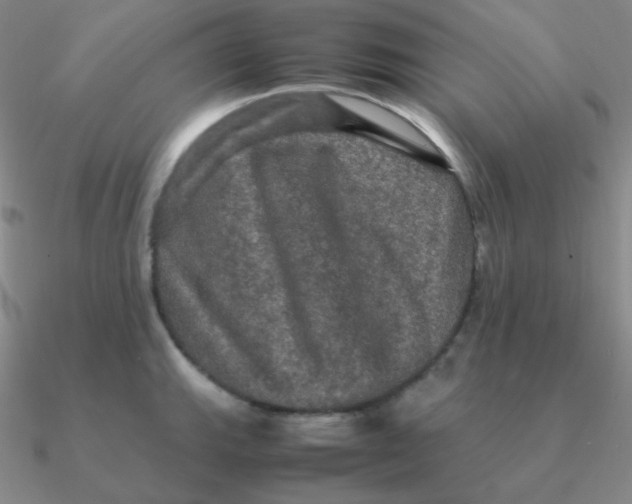 X0000090621143200708071219