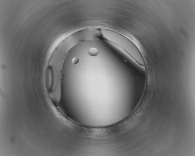 X0000090621144200708071219